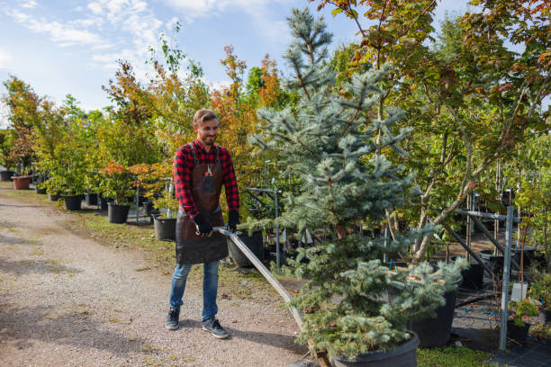 Best Fruit Tree Pruning  in Latta, OK